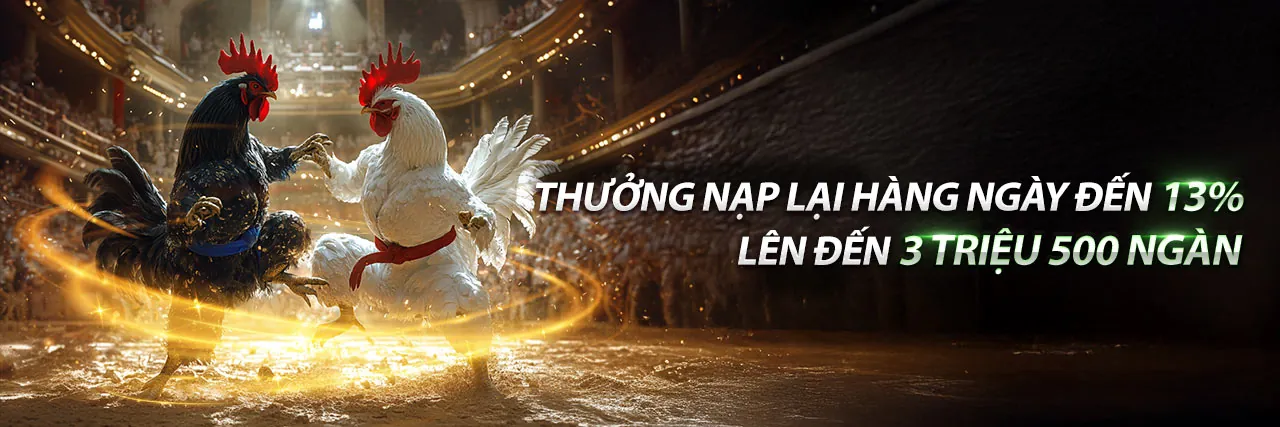 Đá Gà Trực Tuyến 5533win 2026